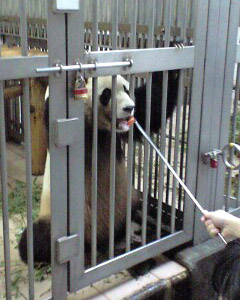 はい、ア～ン！