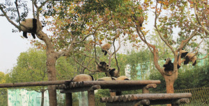 何匹いるかわかるかな？