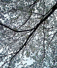 sample01 sample01