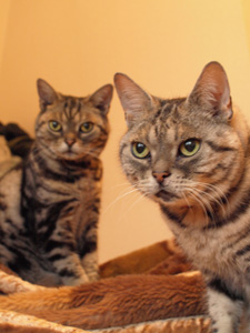 ここで寝るけど、何か？