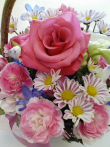 お花の贈り物! お花の贈り物!