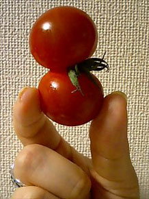 sample02 sample02