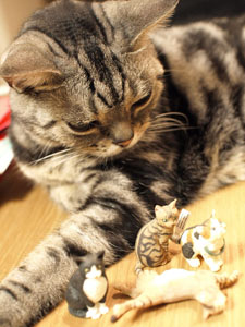 チビネコたちに囲まれて