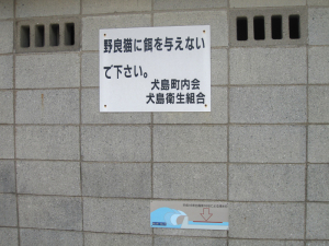 犬島だから、じゃありません？！